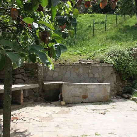 בית הארחה Panorama